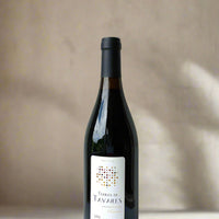 Terras de Tavares 2003