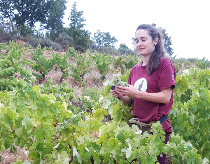 The winemakers - Menina d'Uva