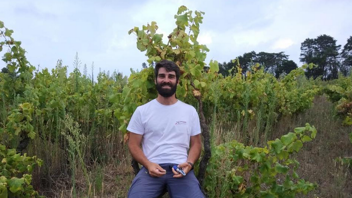 The winemakers - Safado