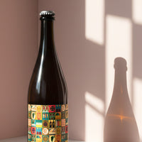 Humus Rosé Pet Nat 2024