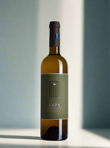 Lapa dos Gaivões Branco 2022