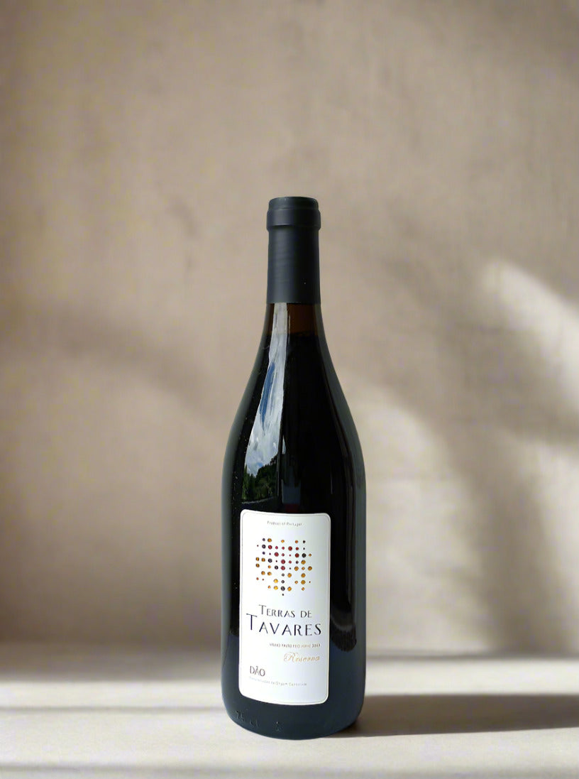 Terras de Tavares 2003